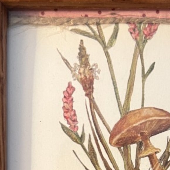FRAMED Owl Print Mushroom Foliage Flowers Wooden Real Glass Boho Cottage 5" x 7" - Picture 5 of 6